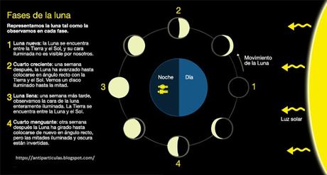 Ilustración de las fases lunares y explicación detallada