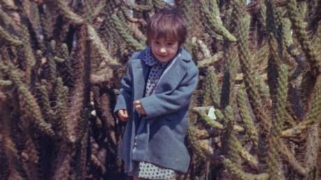 Festival Online Mujeres de Cine,