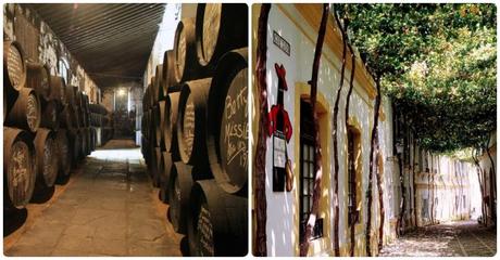 Qué ver en Jerez de la Frontera Qué ver en Jerez de la Frontera