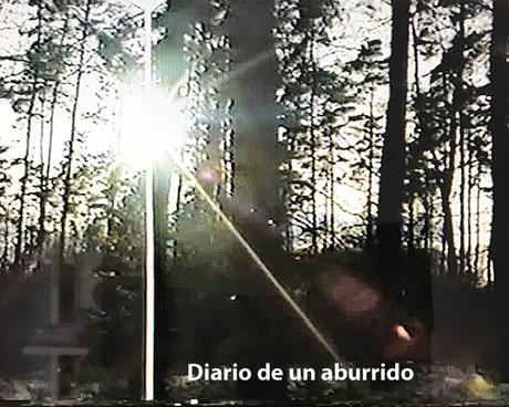 El espejo de nuestras penas de Pierre Lemaitre y la espejo nuestras penas Pierre Lemaitre