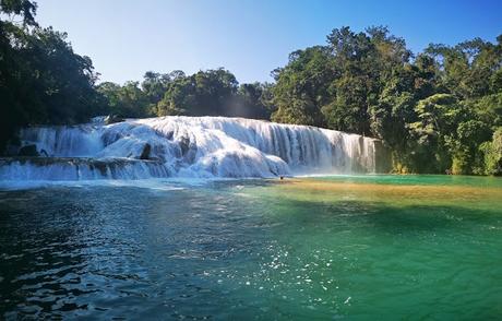 Chiapas día 5: Cascadas de Agua Azul y Misol-Ha; Ruinas de Palenque