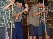 Gastronomía: sidra, sidrerías chigres.