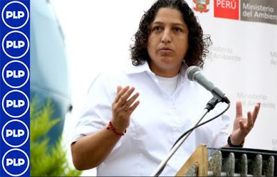 AMPLIACIÓN DEL ESTADO DE EMERGENCIA DEPENDERÁ DE LOS PERUANOS…