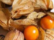 Physalis. Propiedades esta fruta como come