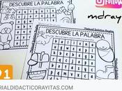 link compartimos serie fichas qu...