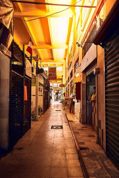 Mercados del Centro lucen vacíos, locatarios buscan sobrevivir