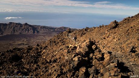 PARQUE NACIONAL DEL TEIDE. TENERIFE