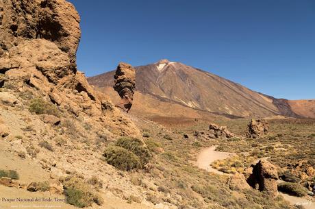 PARQUE NACIONAL DEL TEIDE. TENERIFE