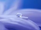 Propagación sigilosa pervivencia virus diversas superficies días: crucero Diamond Princess (investigación)