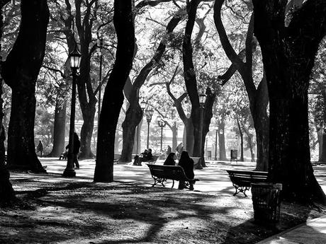 B&W.Pareja charlando sentada en banco del parque rodeados por árboles