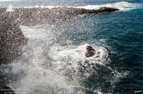 CHARCOS DE JOVER. TEJINA. TENERIFE