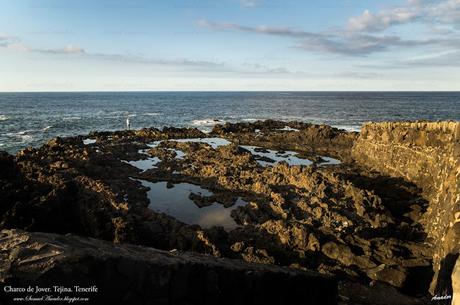 CHARCOS DE JOVER. TEJINA. TENERIFE