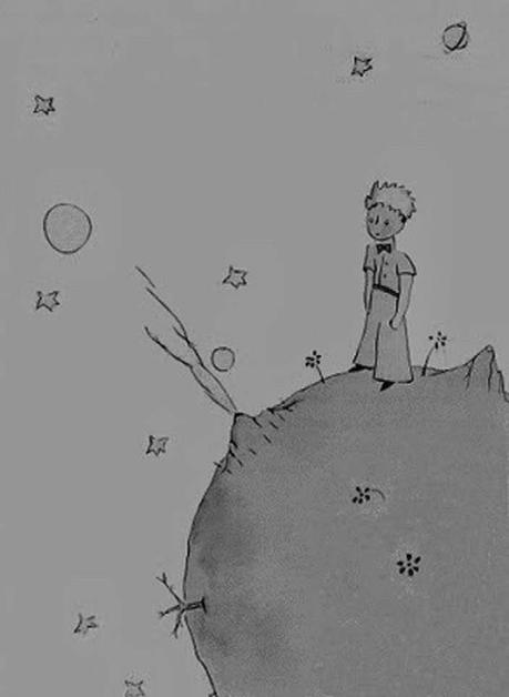 No hay ninguna descripción de la foto disponible.