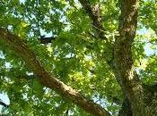 sencillo ejercicio SENTIR