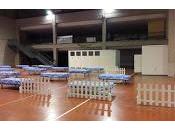 recinto ferial Aranda Duero convertirá hospital campaña