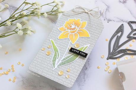 Love You Tag Love You Tag