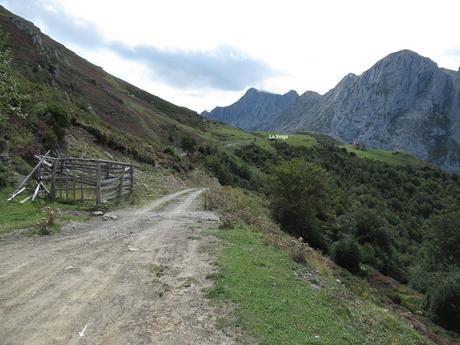 Ricao-L.laseiru-La Cardosina