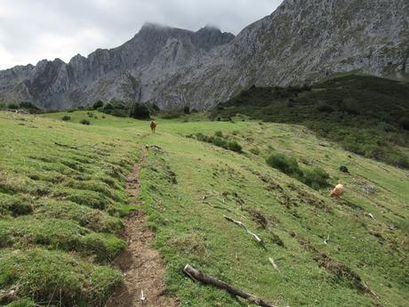 Ricao-L.laseiru-La Cardosina