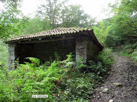 Ricao-L.laseiru-La Cardosina