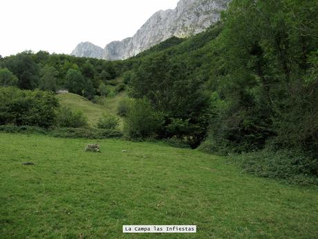 Ricao-L.laseiru-La Cardosina