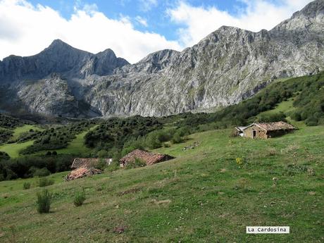 Ricao-L.laseiru-La Cardosina