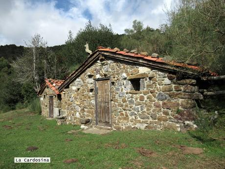 Ricao-L.laseiru-La Cardosina