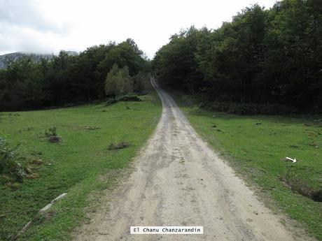 Ricao-L.laseiru-La Cardosina