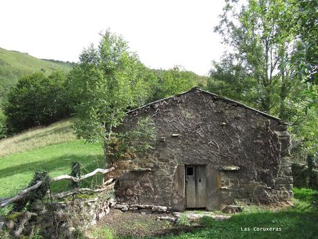 Ricao-L.laseiru-La Cardosina