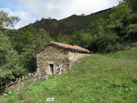 Ricao-L.laseiru-La Cardosina