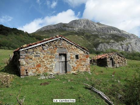 Ricao-L.laseiru-La Cardosina