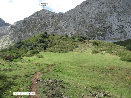 Ricao-L.laseiru-La Cardosina