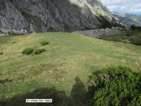 Ricao-L.laseiru-La Cardosina