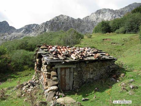 Ricao-L.laseiru-La Cardosina