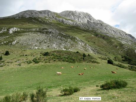 Ricao-L.laseiru-La Cardosina