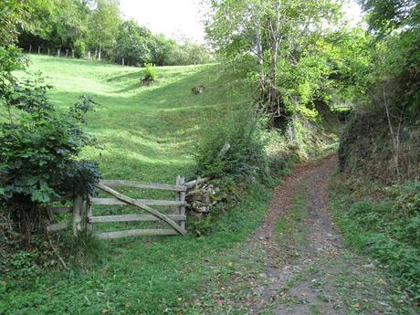 Ricao-L.laseiru-La Cardosina