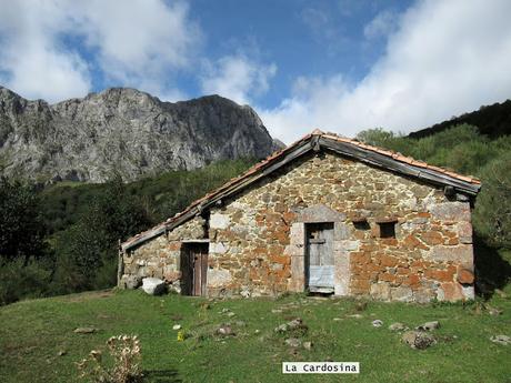 Ricao-L.laseiru-La Cardosina