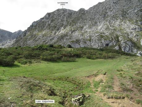 Ricao-L.laseiru-La Cardosina