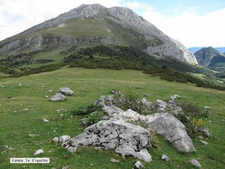 Ricao-L.laseiru-La Cardosina