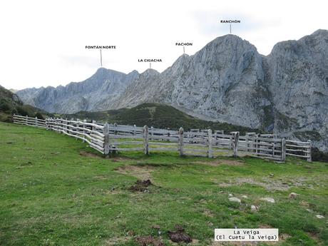 Ricao-L.laseiru-La Cardosina