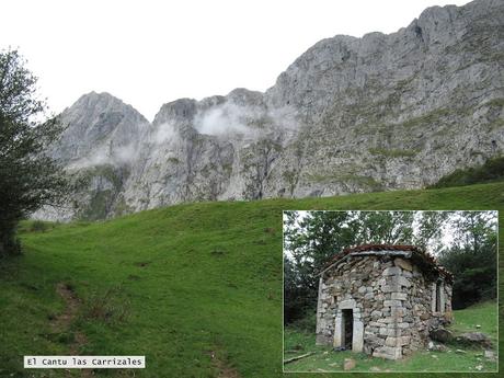 Ricao-L.laseiru-La Cardosina