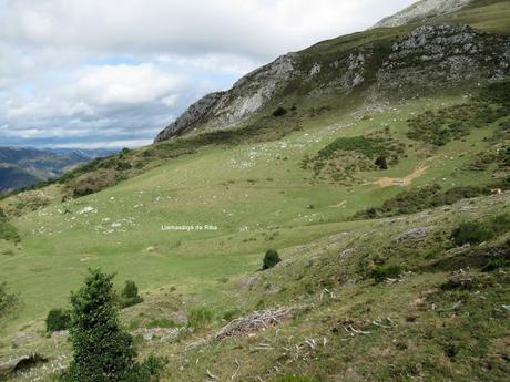 Ricao-L.laseiru-La Cardosina