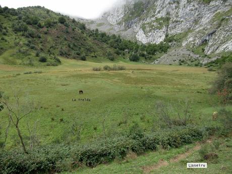 Ricao-L.laseiru-La Cardosina