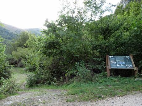 Ricao-L.laseiru-La Cardosina