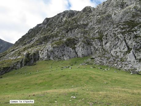 Ricao-L.laseiru-La Cardosina
