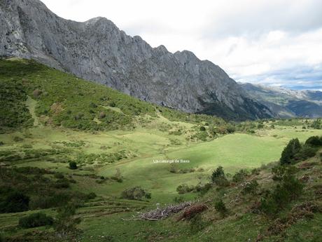 Ricao-L.laseiru-La Cardosina