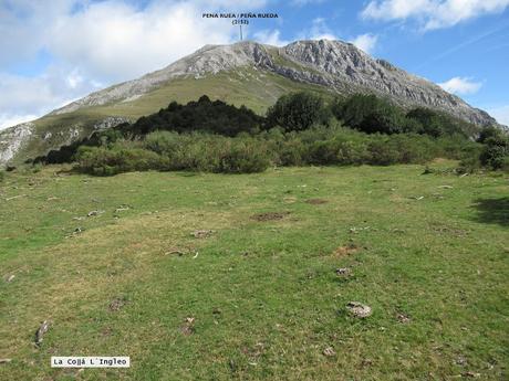 Ricao-L.laseiru-La Cardosina