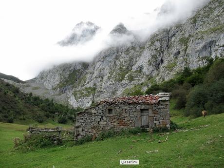 Ricao-L.laseiru-La Cardosina