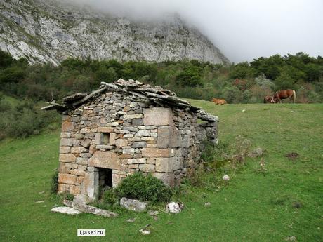 Ricao-L.laseiru-La Cardosina
