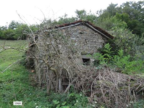 Ricao-L.laseiru-La Cardosina