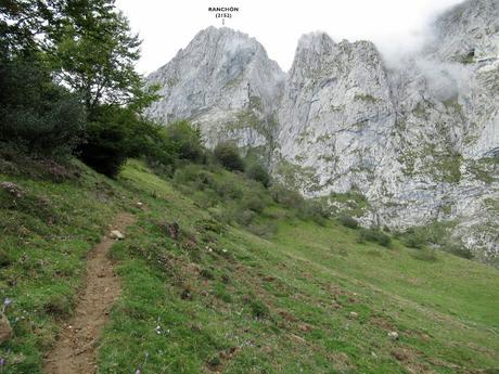 Ricao-L.laseiru-La Cardosina